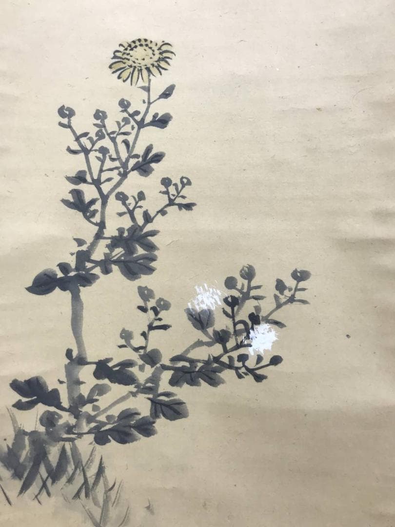 真作/村瀬雙石/菊に鴬図/花図/花鳥図/小鳥図/小禽図/名家伝来/AD-927