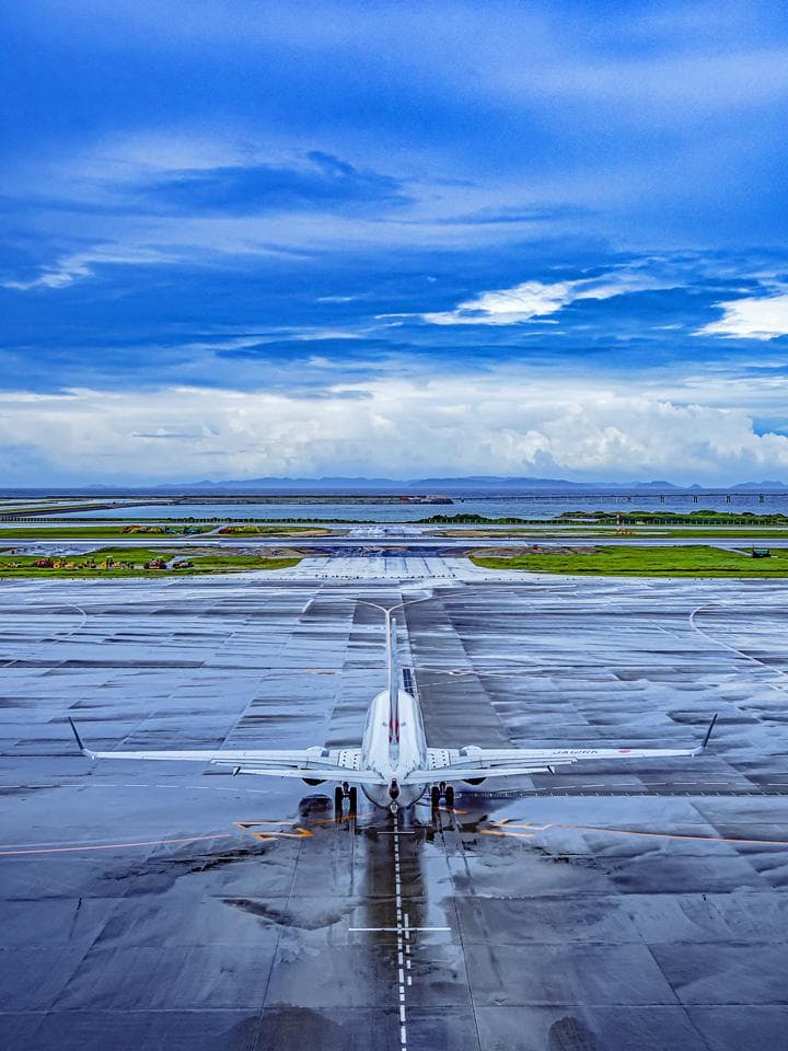 美麗! 高精細 プリント 写真 「青空へ・・・。」