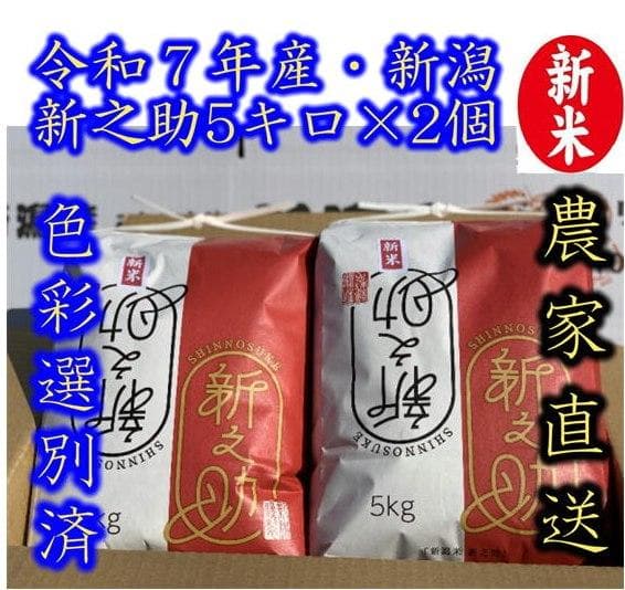 令和7年産　新潟　新之助　白米5キロ2個（5kg×2)1０キロ精米無料★農家直送