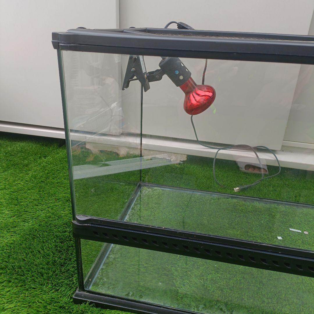 爬虫類飼育セット　GEX エキゾテラ グラステラリウム 90×60