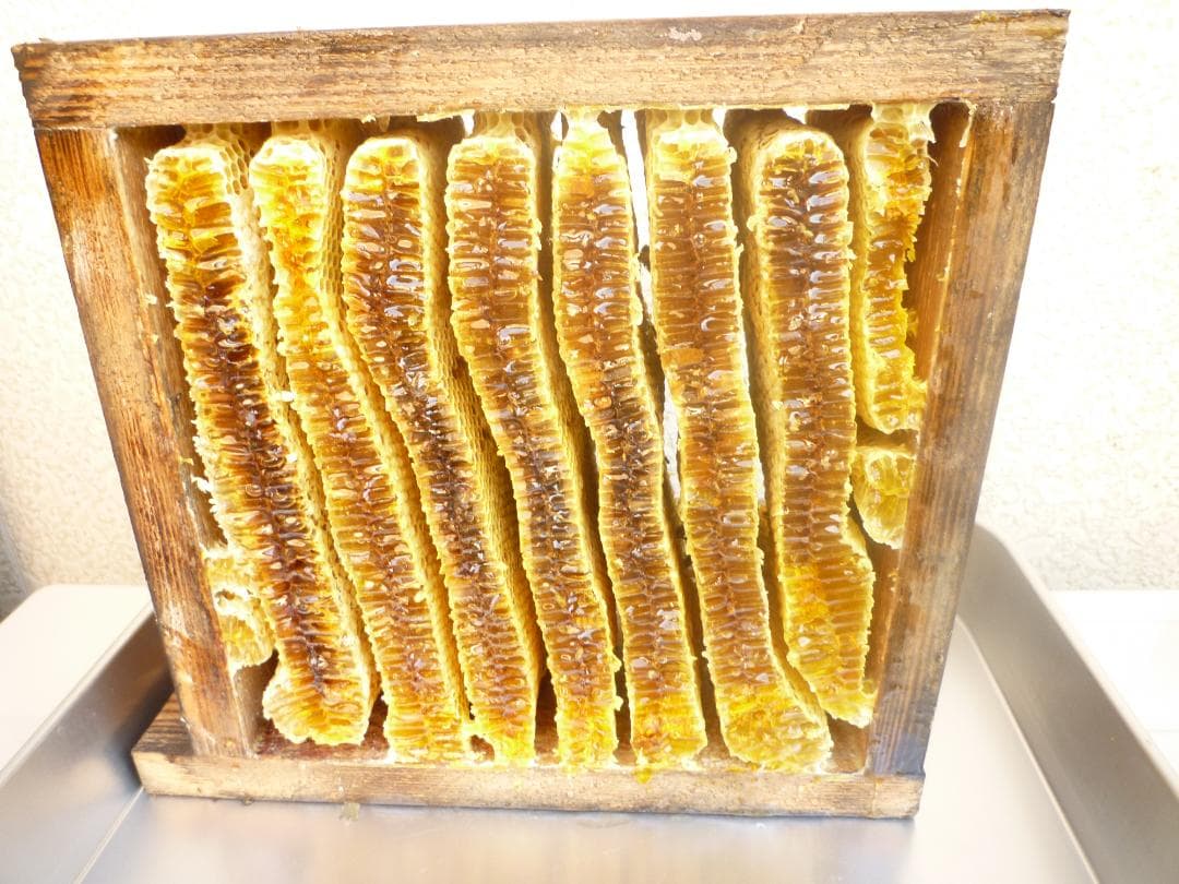 安心の日本みつばち 芳醇 糖度81％ 非加熱 クリーミーはちみつ1,100g