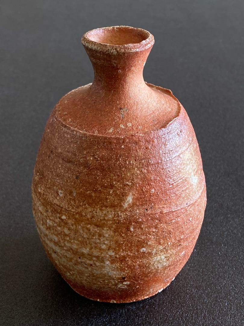 信楽焼 Shigaraki 徳利 Tokkuri 古谷道生 X01