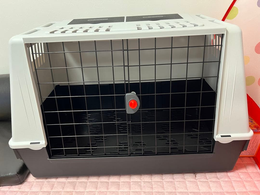 Kengo　ATLAS CAR 100 ケージ