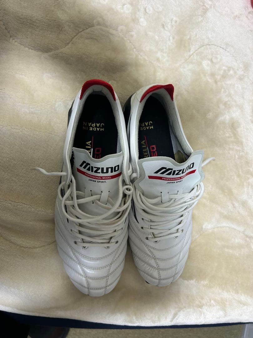 モレリアネオ　24.5cm