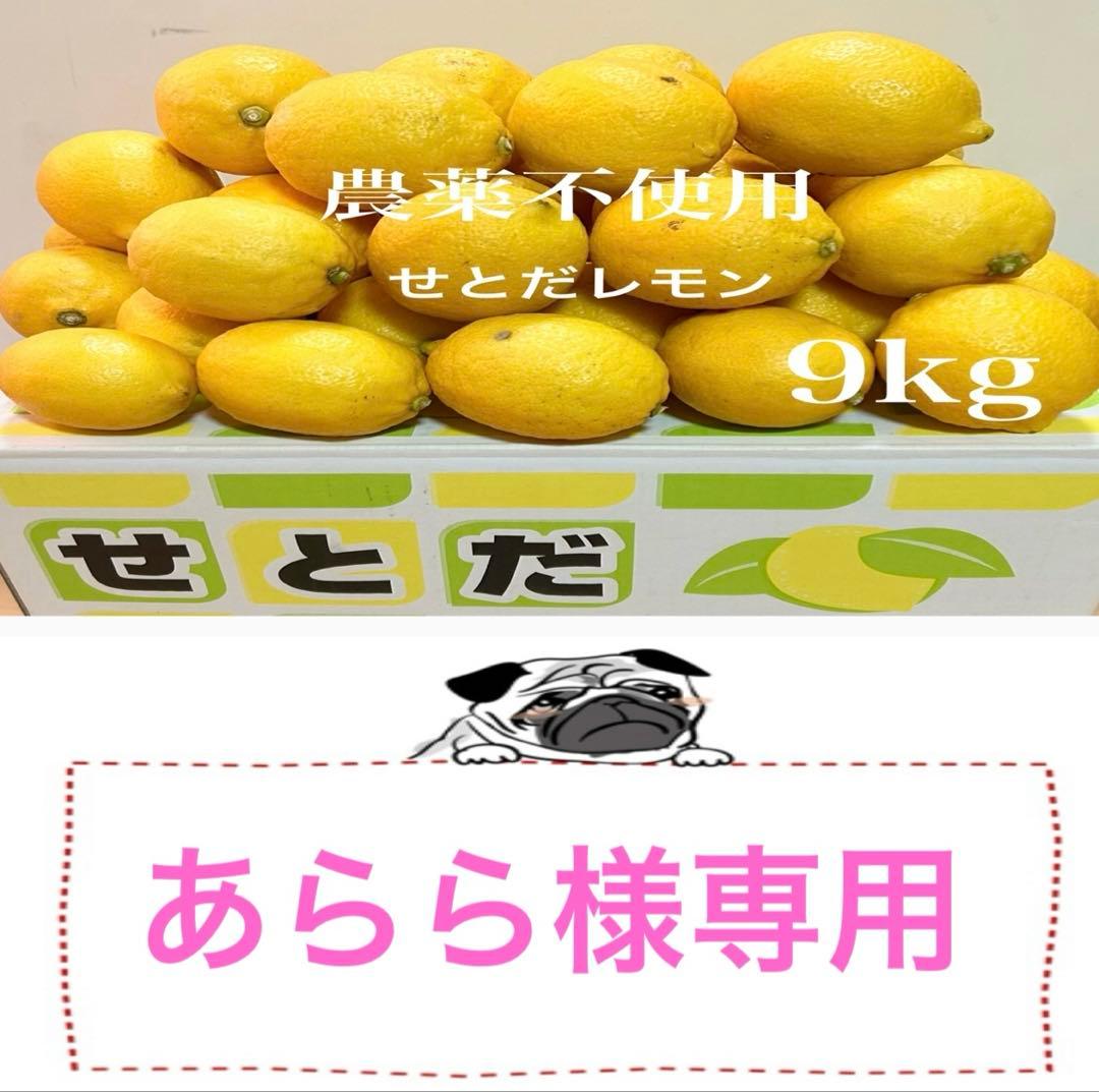 国産瀬戸田レモン9kg前後　あらら様