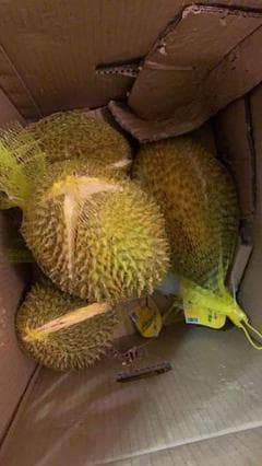 訳有タイ産ドリアン　泰国榴莲　10ｋｇ前後発送