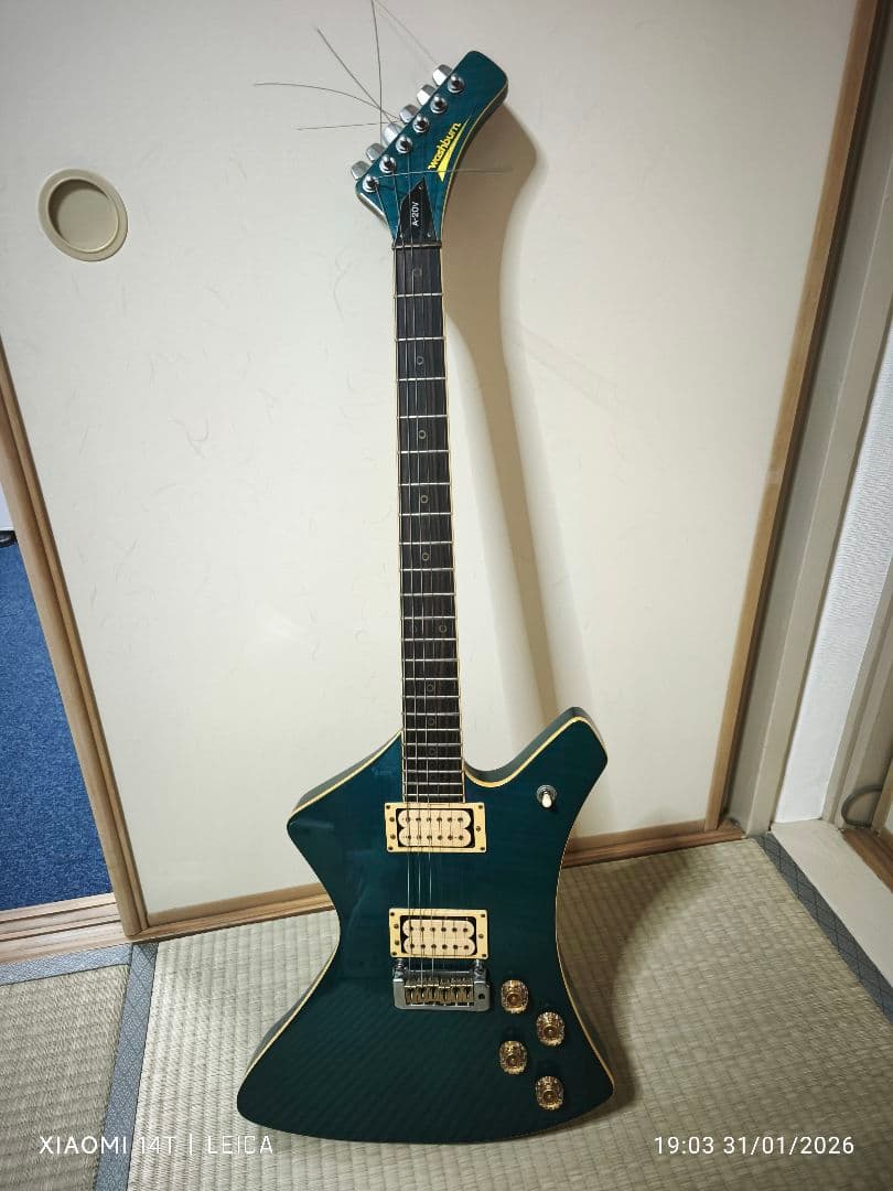 【極希少色1983年製Washburn A-20V StagTeal Green