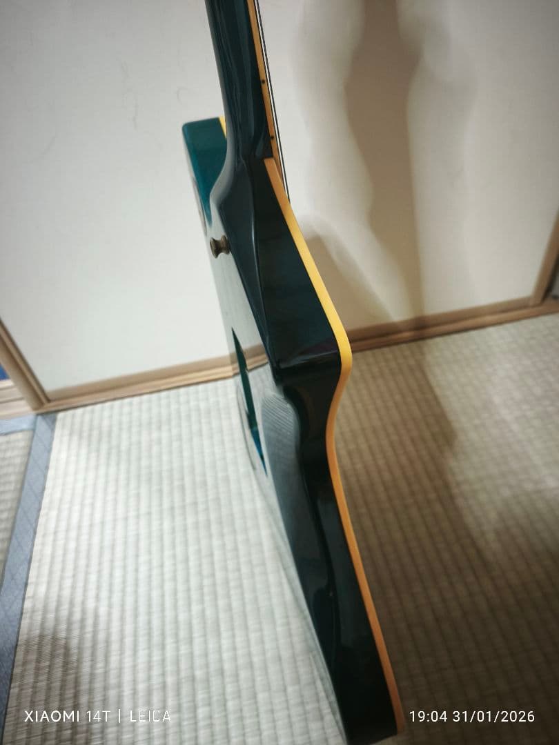 【極希少色1983年製Washburn A-20V StagTeal Green