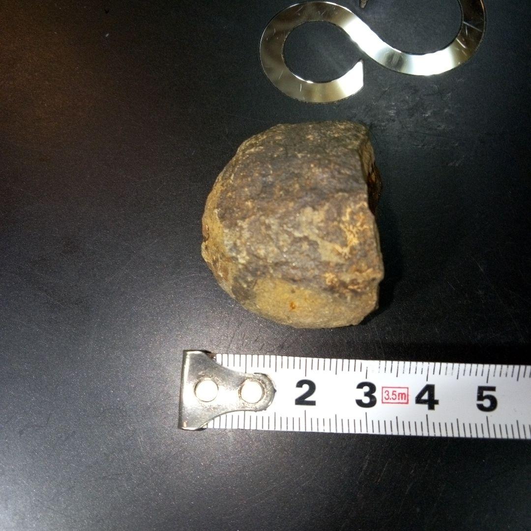 三葉虫　化石　fossil　ボリビア産　レア　Fossil管理⑩