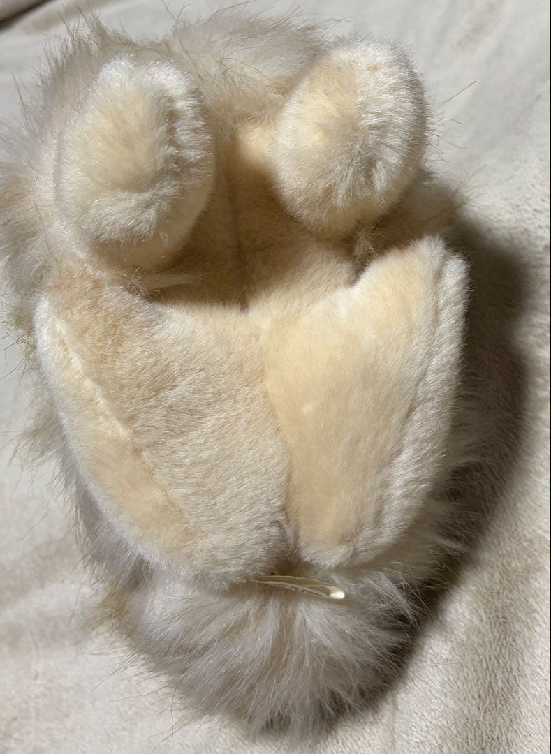 犬　三英　スピッツ　ポメラニアン　ぬいぐるみ　ベージュ