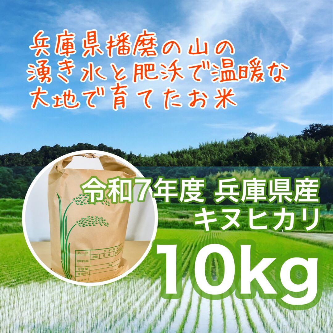 新米★山の湧き水で育てた農家のお米兵庫県産キヌヒカリ 10kg