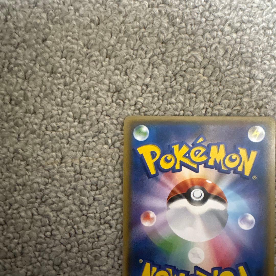 ポンチョを着たイーブイ リーフィア