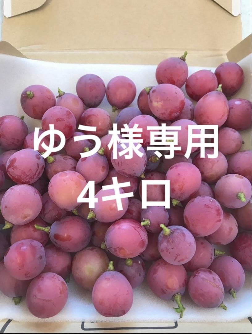 ゆうクイーンニーナ4キロ