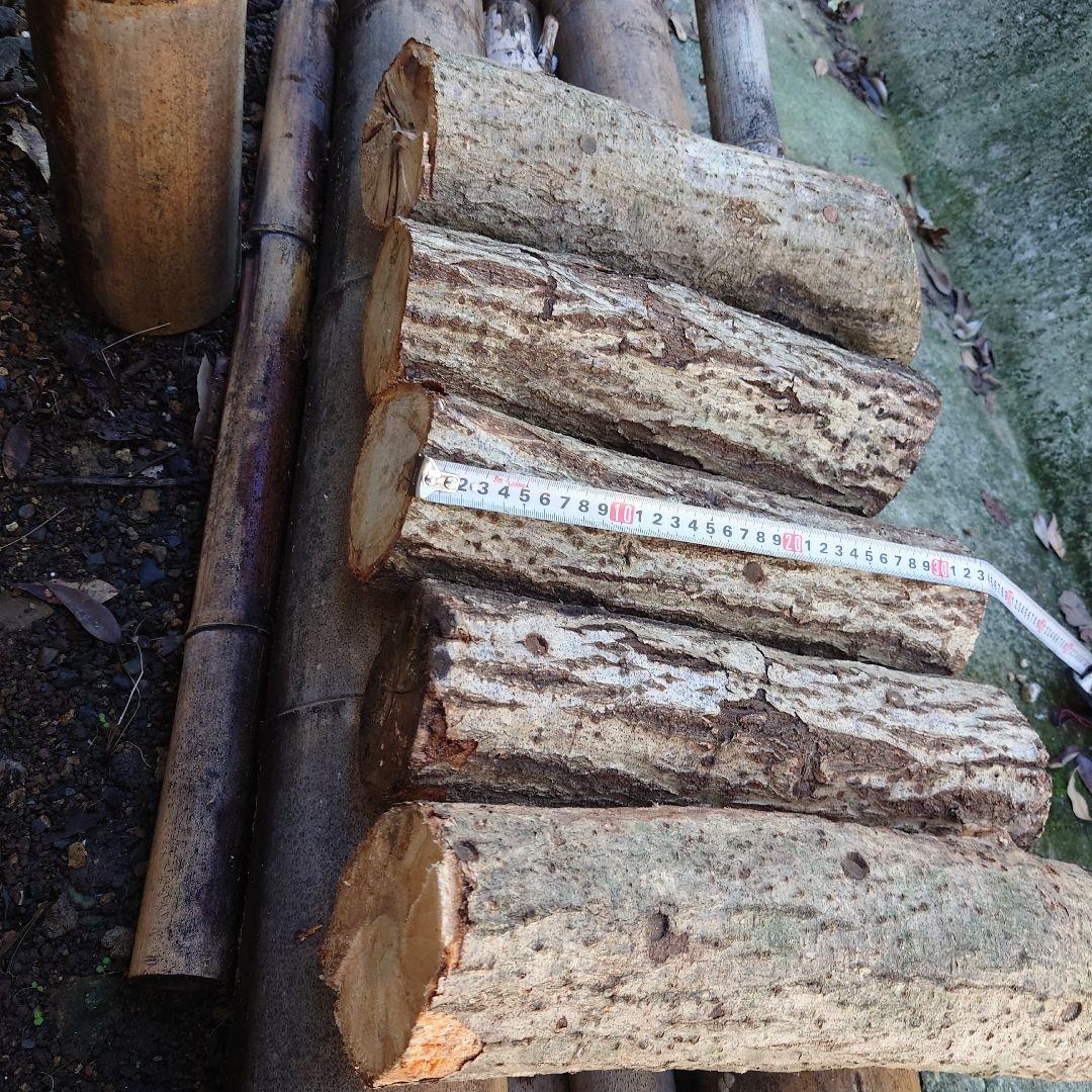 原木栽培　原木椎茸栽培キッド　No.10 大5本