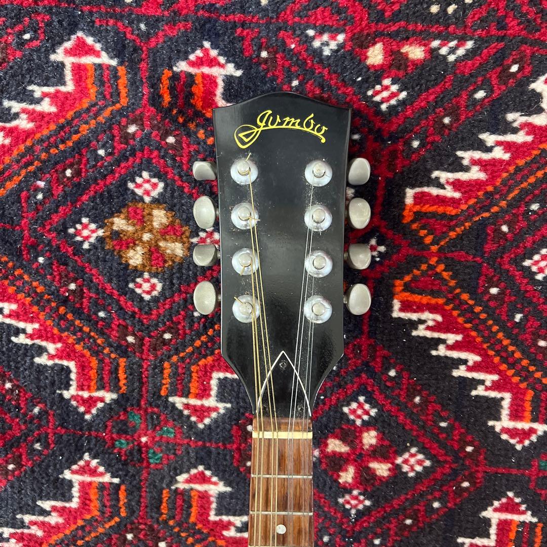 JUMBO 田原楽器　フラットマンドリン