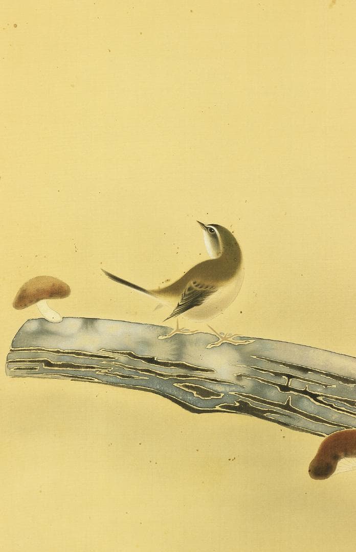 岡田錬石 1904-1995 東京 蔦谷龍岬師事「鴬に茸」掛軸 肉筆 絹本