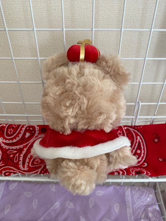 King ＆ Prince CrownBear