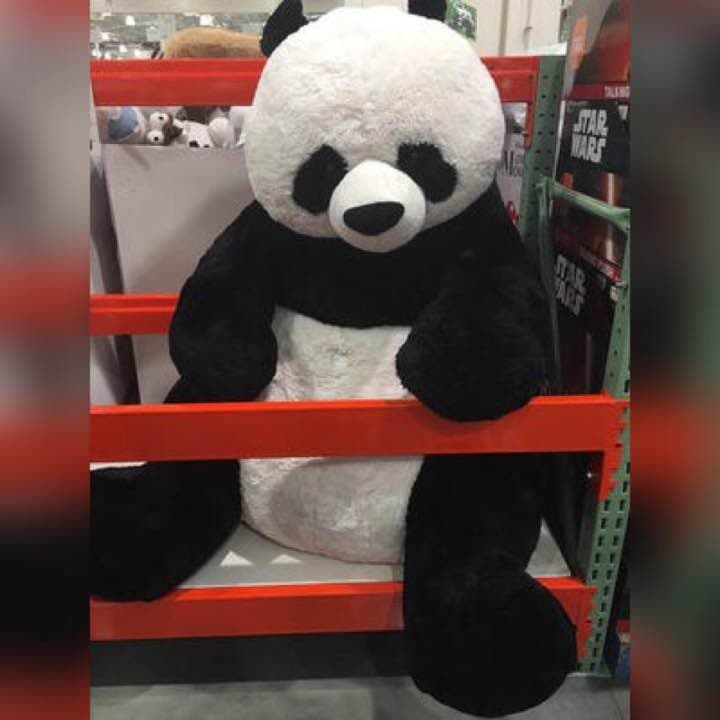 コストコ パンダ ぬいぐるみ