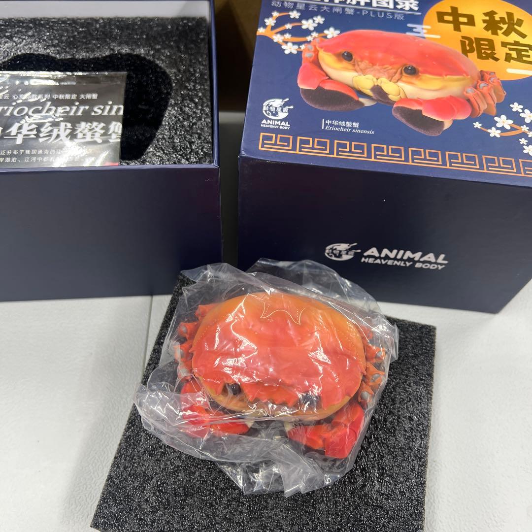 【動物の惑星】中秋限定　シャンハイガニ