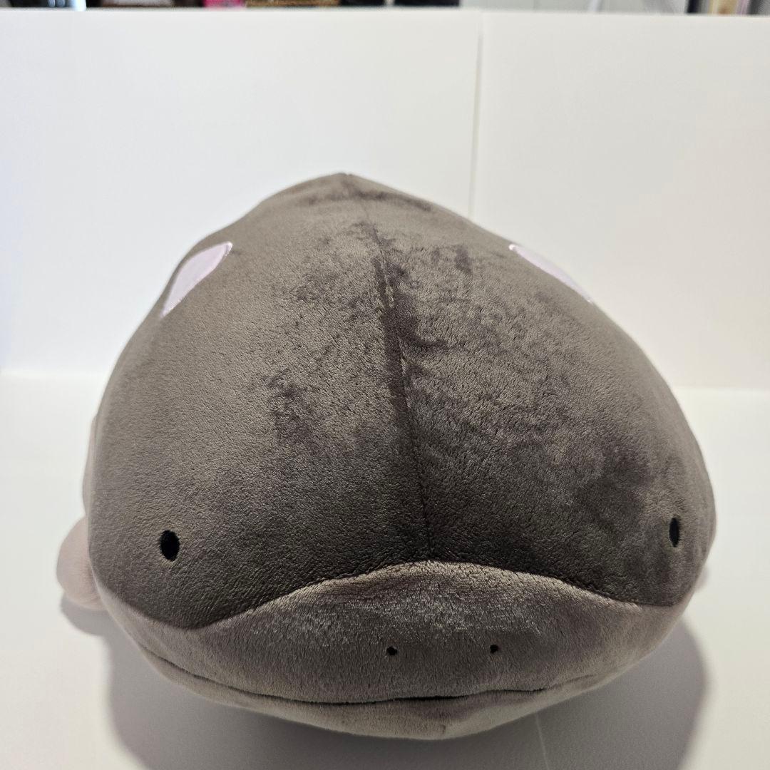 ふわふわ抱き【ポケモン】ドオーぬいぐるみ 全長約50cm