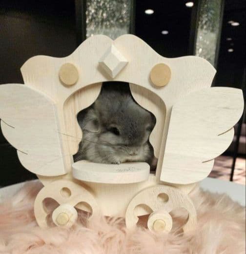 チンチラ ハウス 馬車 ベッド ロイヤルチンチラ ペット モルモット 小動物