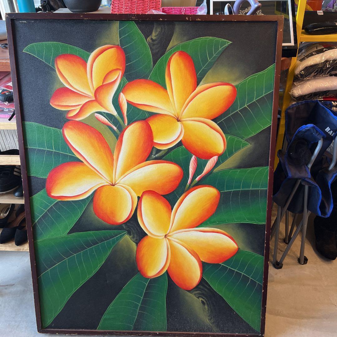 プルメリア 絵画