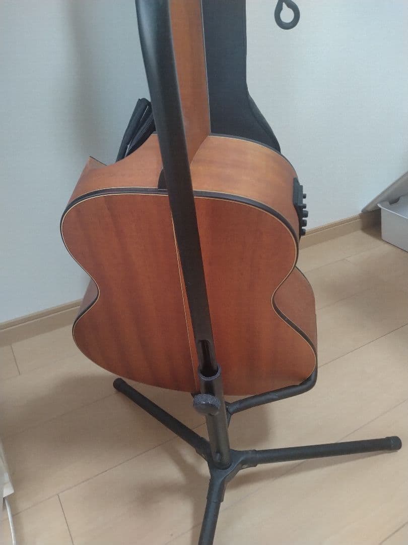 TRAVELLER GUITARS アコースティックギター