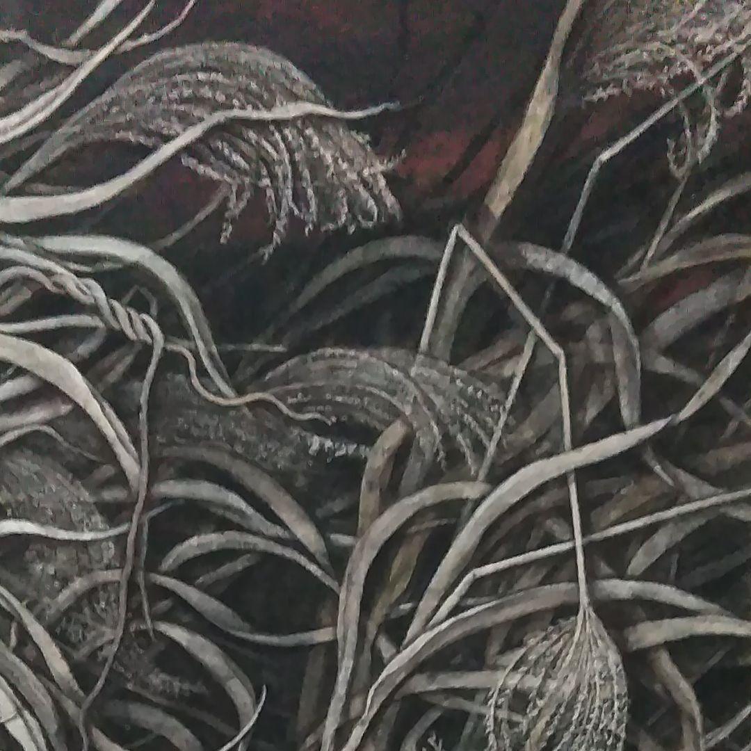 日本画　夕日に燃えるすすき