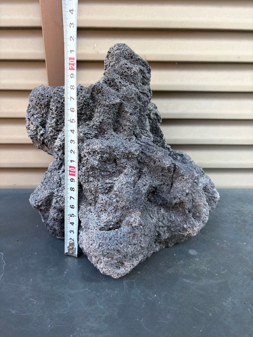 ADA雲山石5個セット