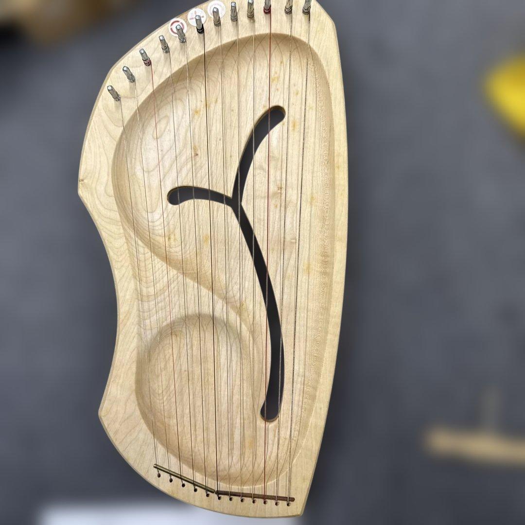 y*i様 600アウリスライアー12弦　ダイアトニック