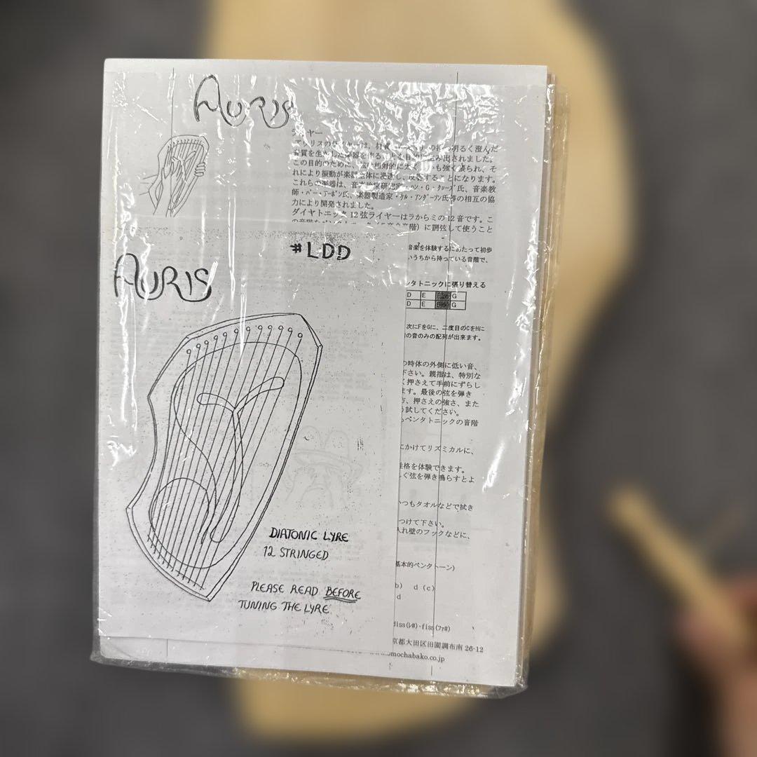 y*i様 600アウリスライアー12弦　ダイアトニック