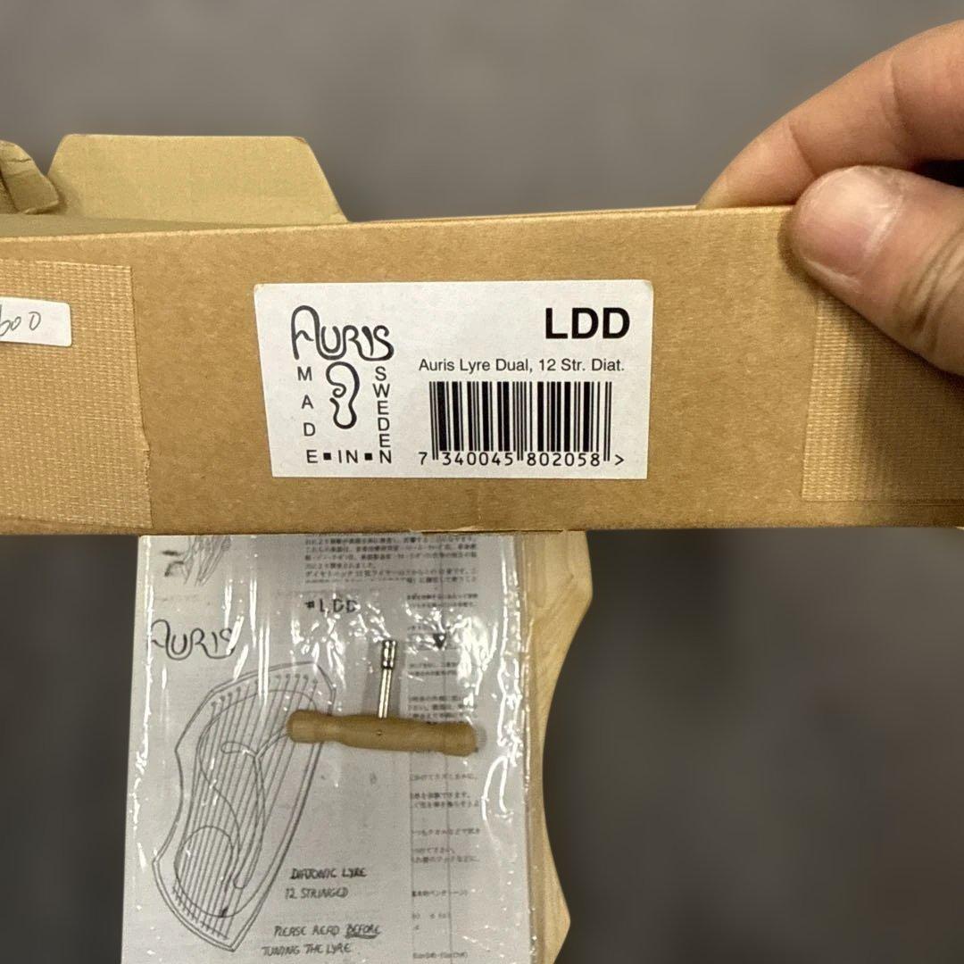 y*i様 600アウリスライアー12弦　ダイアトニック