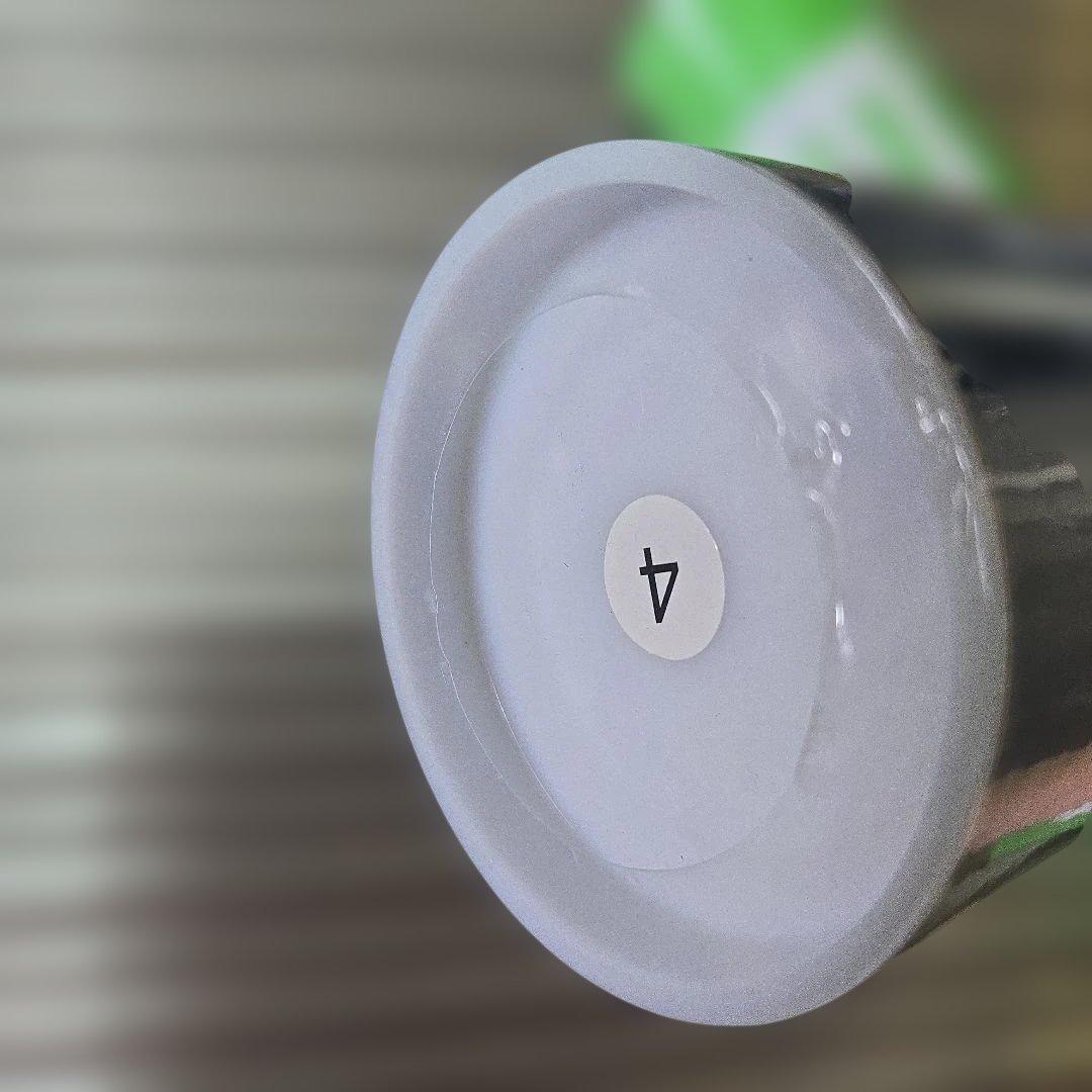 【新品未開封】バドミントンシャトル サンファスト&バグース緑