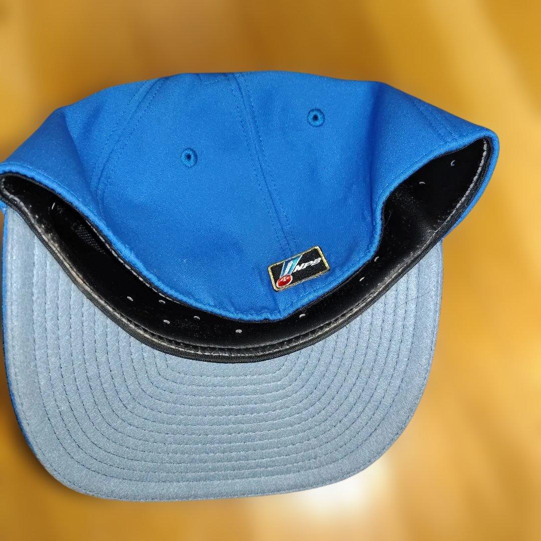 中日ドラゴンズ PRO MODEL ブルー(80周年) 58cm