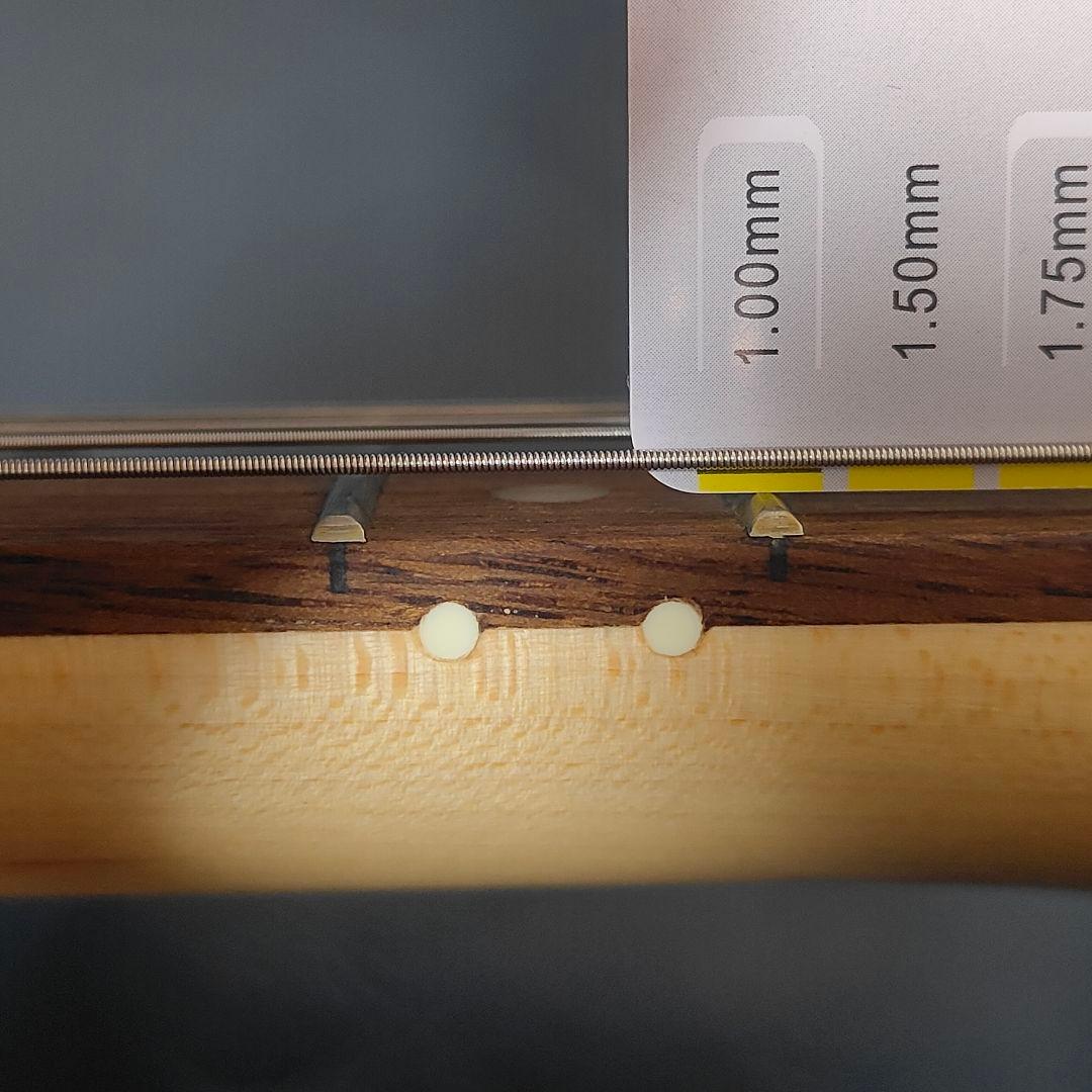 【未使用】Squier by Fender スクワイヤー フェンダー ギグバッグ