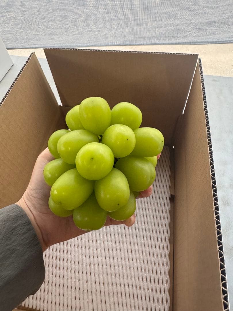 福島の桃　シーエックス