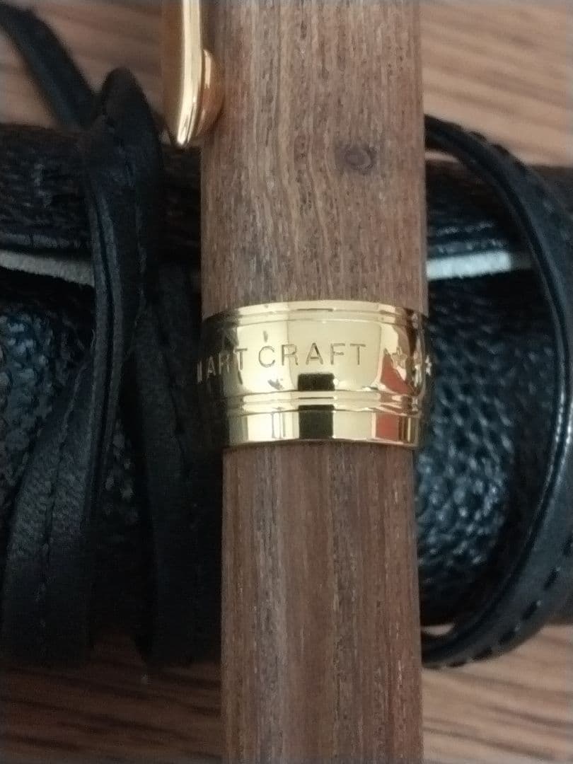 パイロット万年筆カスタム 槐 エンジュ モクメ　18K-750 15 F