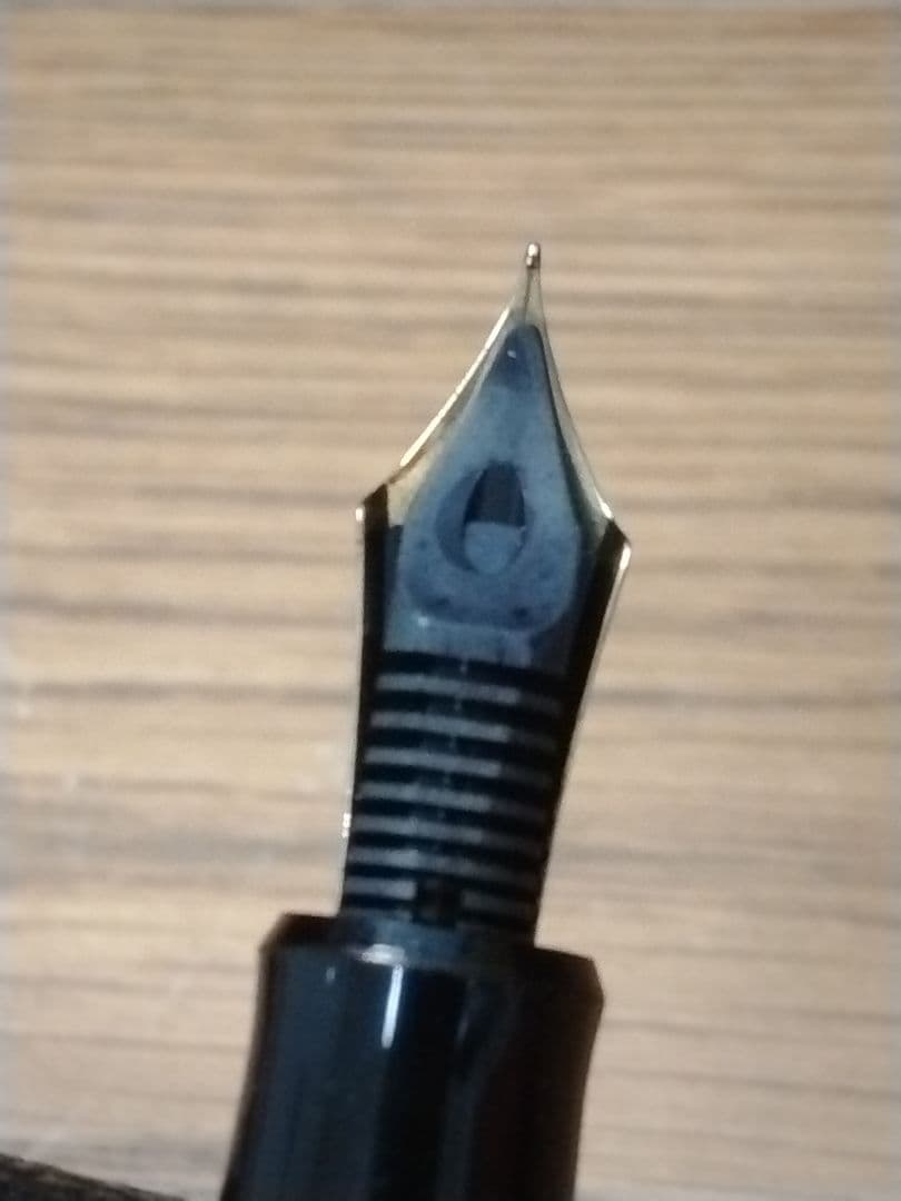 パイロット万年筆カスタム 槐 エンジュ モクメ　18K-750 15 F