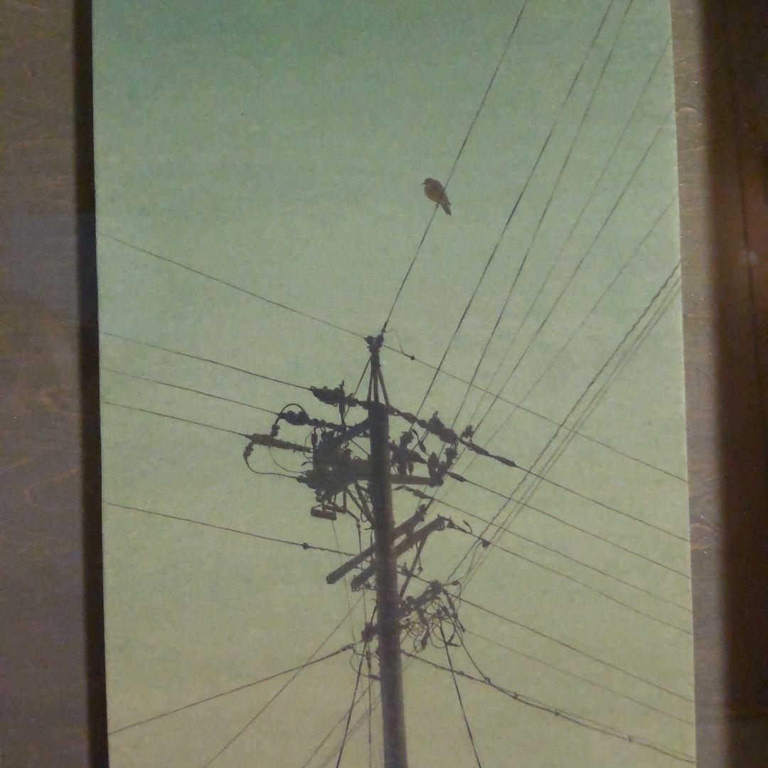 今川教子　灯り　日本画　8号変