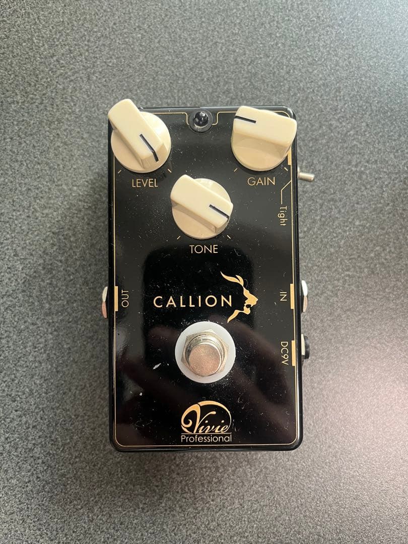 ギター Vivie CALLION