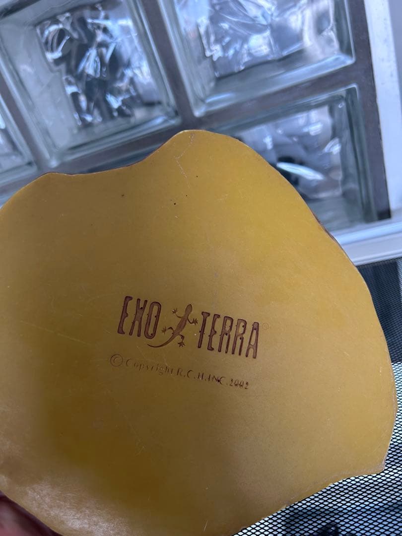 爬虫類飼育ケース　90×45×45 フトアゴ　REPTI WILD ホワイト