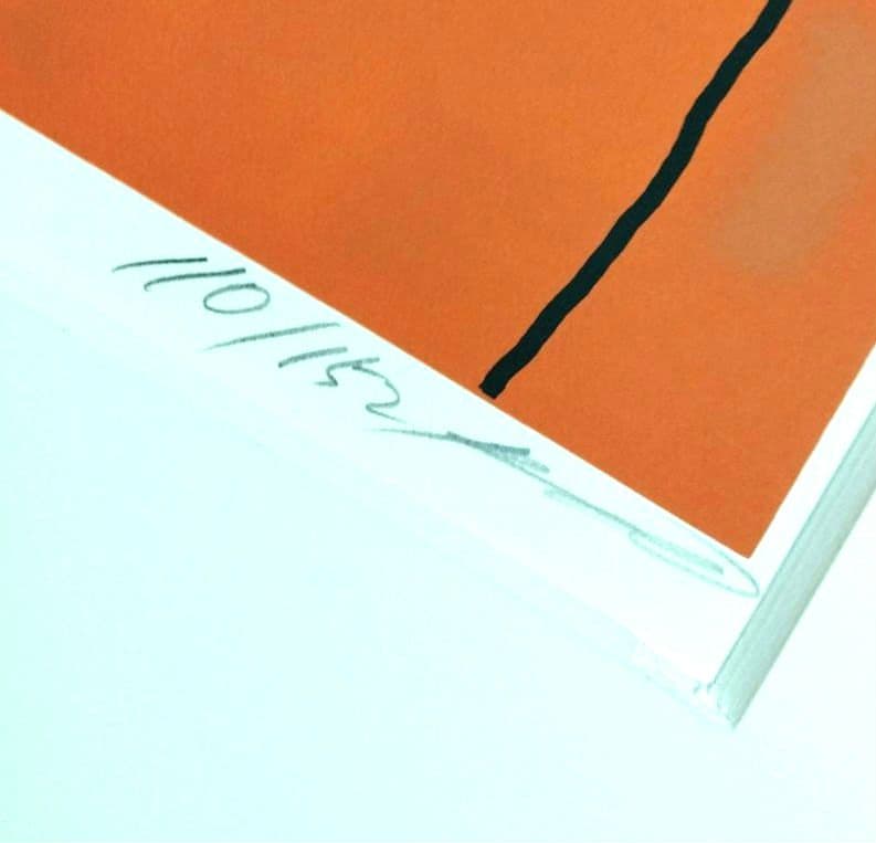 ☆ 岡田 露愁 おかだろしゅう シルクスクリーン