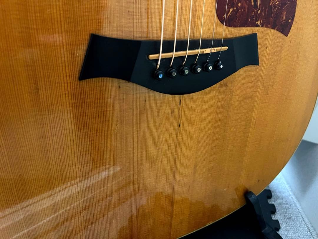 Taylor XXV-PR プレミアム25周年記念 エレアコ 世界限定500本