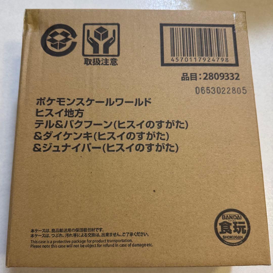 ポケモンスケールワールド　ヒスイ地方