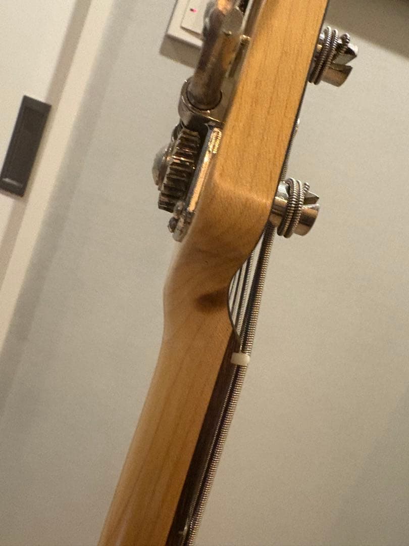 Freedom Custom Guitar Research 五弦ベース