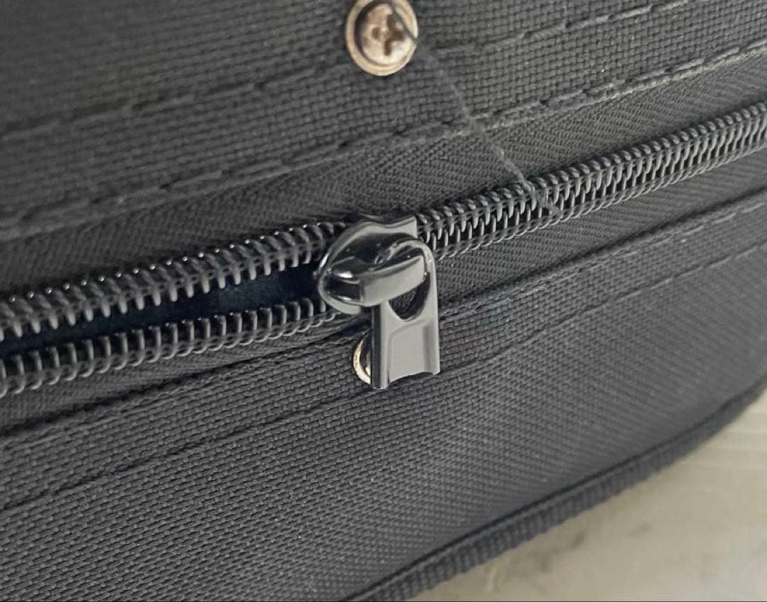 CECILIO エレキバイオリン 4/4 ホワイト 専用セミハードケース