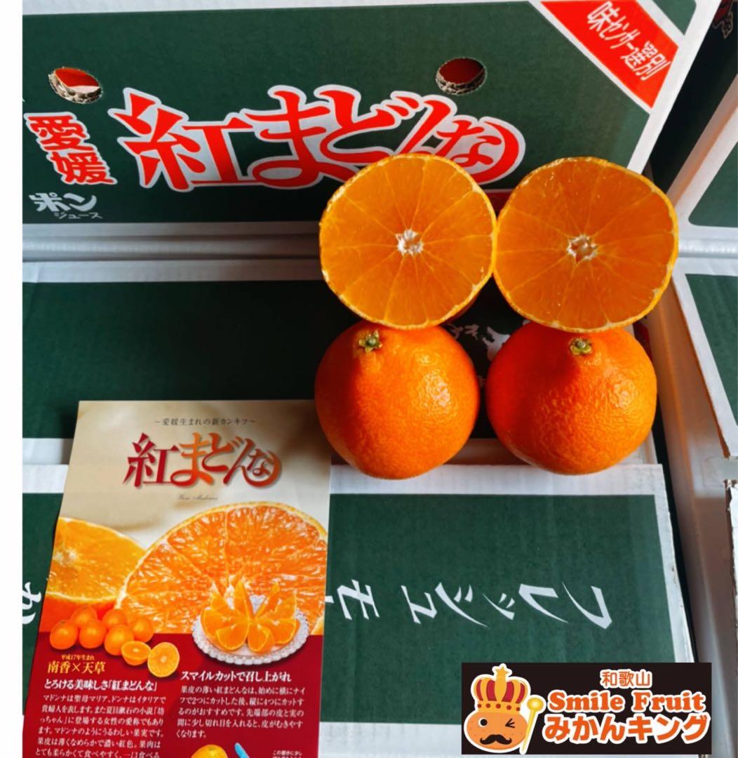 専用出品　エビカニ様