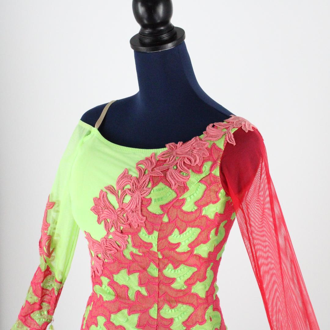 【極美品 日本製 社交ダンス衣装】 in the MOOD インザムード ドレス