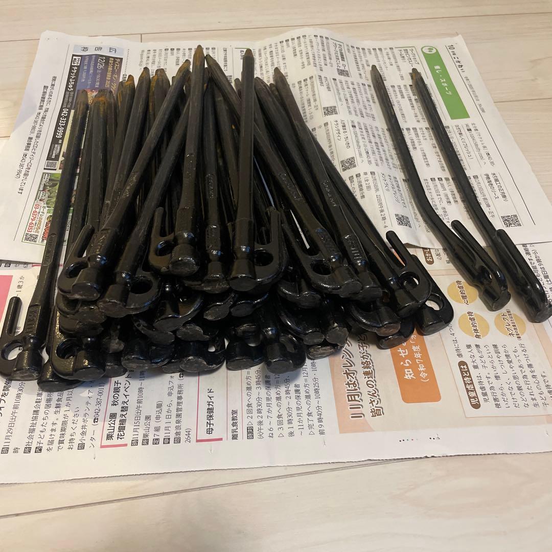 エリッゼステーク 280mm ペグ 24本セット