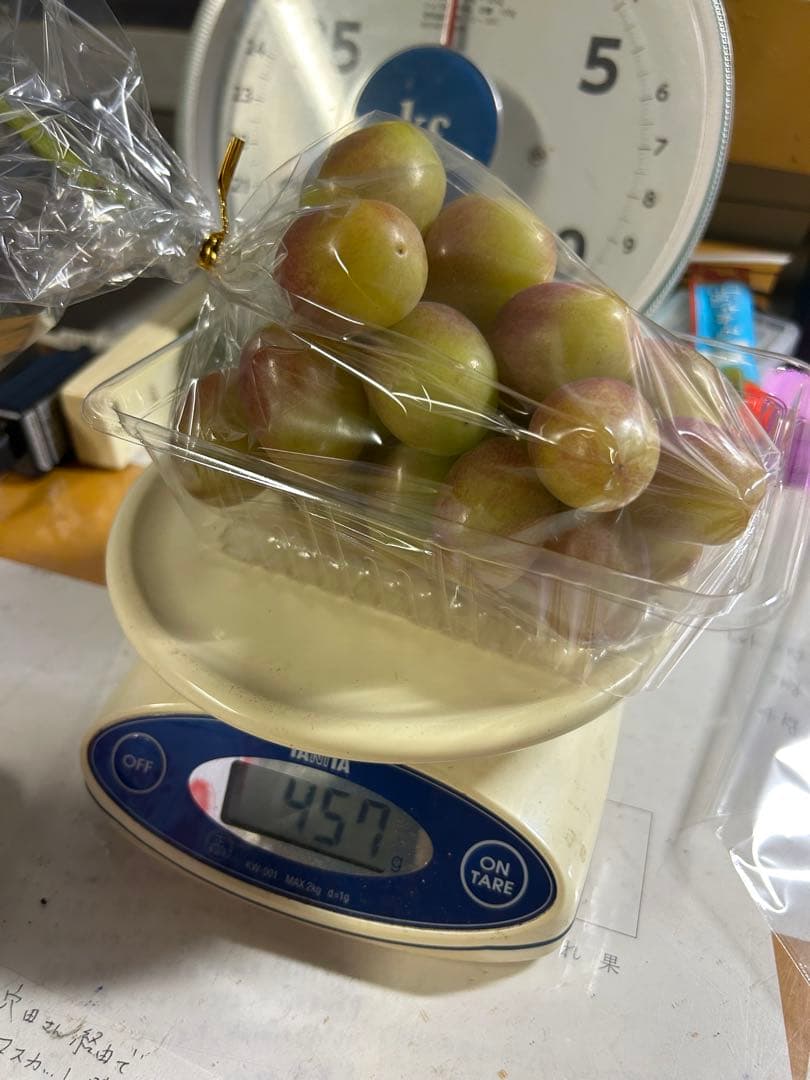 タイムセール！山梨県限定 赤いシャインマスカット！？ 1コンテナ　10房以上